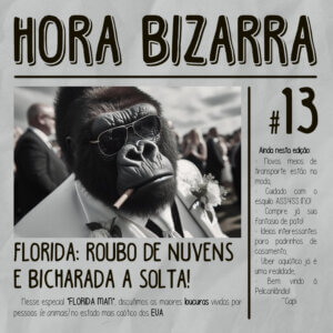 FLORIDA: roubo de NUVENS e BICHARADA a solta! – Hora Bizarra #13